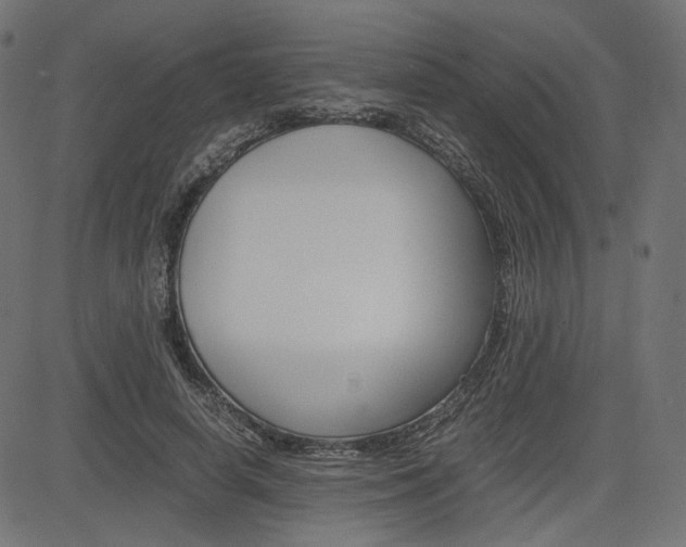 X0000085230642200703090858