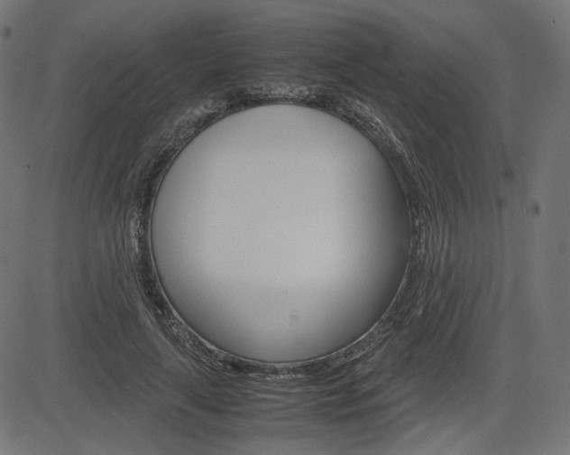 X0000085230643200703090858