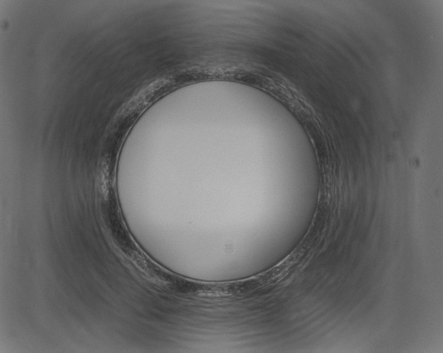X0000085230644200703090858