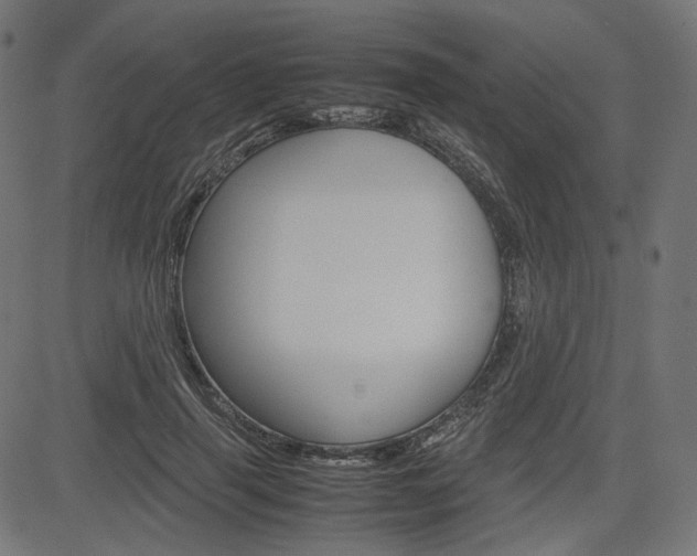 X0000085230645200703090858