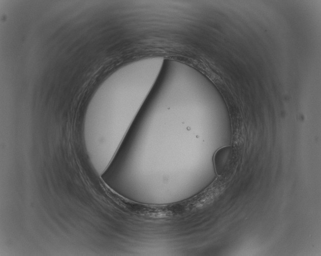 X0000085230646200703090858