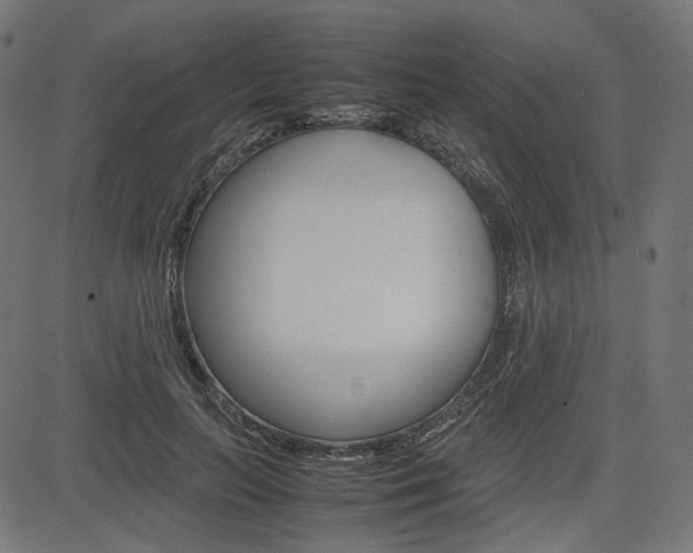 X0000085230647200703090858