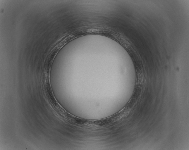 X0000085230648200703090858