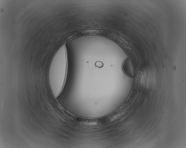 X0000085230651200703090858