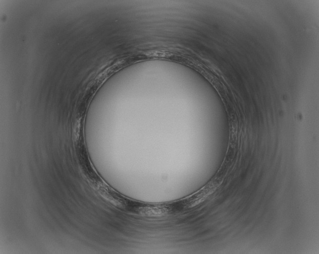 X0000085230652200703090858