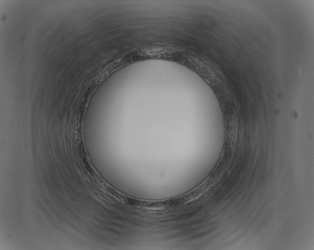 X0000085230653200703090858