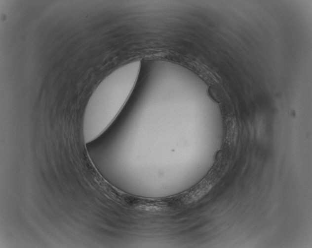 X0000085230655200703090858