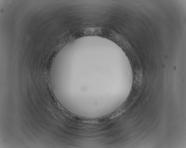 X0000085230659200703090858