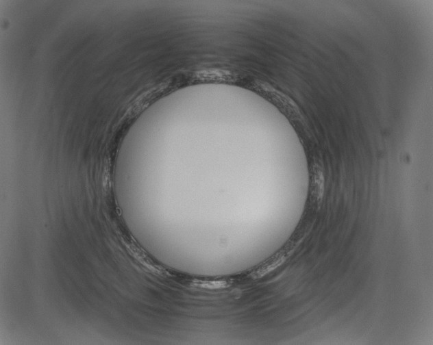 X0000085230665200703090858