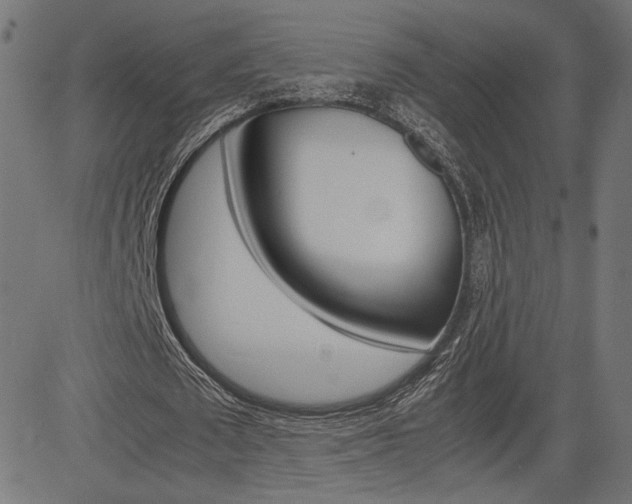 X0000085230673200703090857