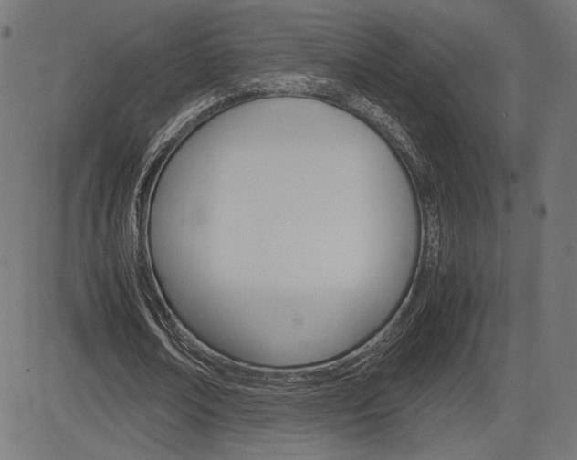 X0000085230674200703090857