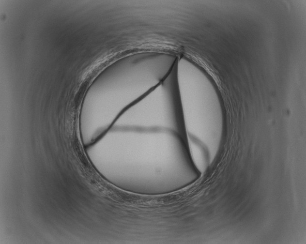 X0000085230675200703090857