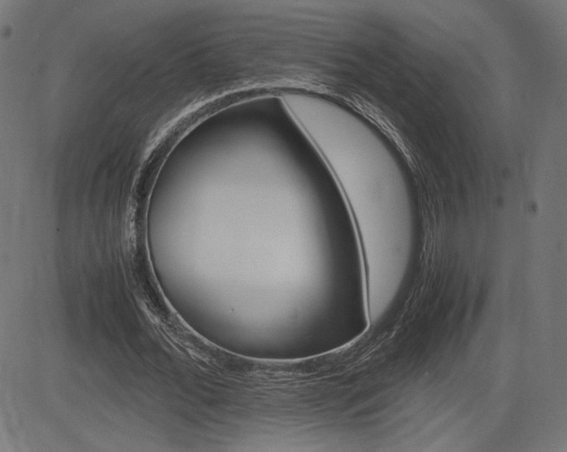 X0000085230676200703090857