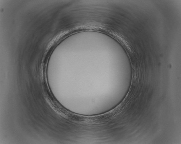 X0000085230678200703090857