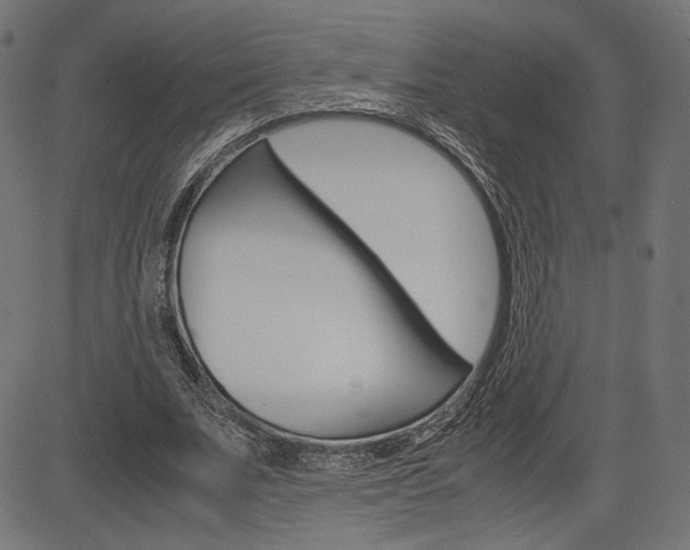 X0000085230679200703090857