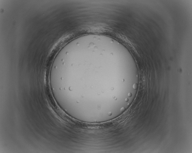 X0000085230686200703090857