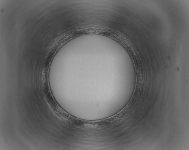 X0000085230690200703090857