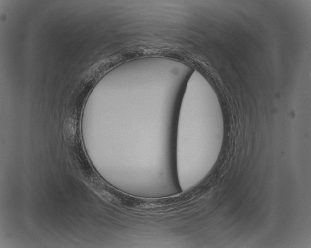 X0000085230691200703090857