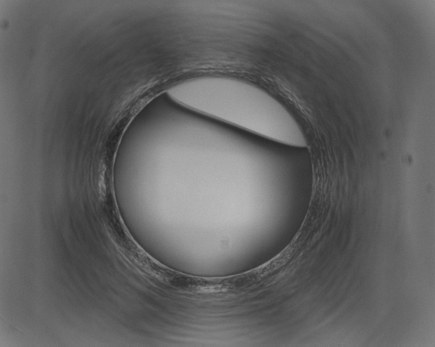X0000085230692200703090857