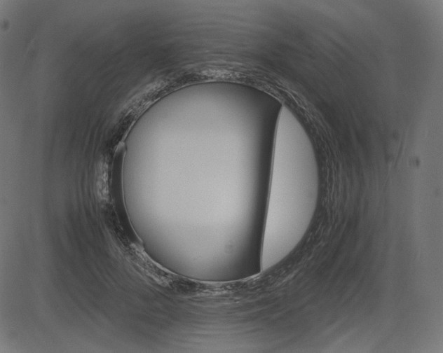 X0000085230696200703090857