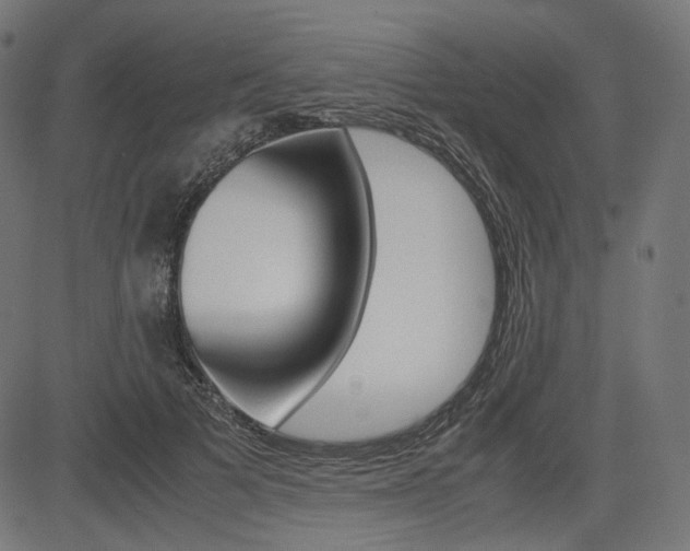 X0000085230697200703090857