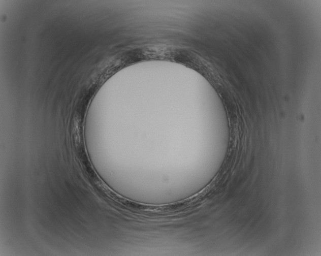X0000085230699200703090857