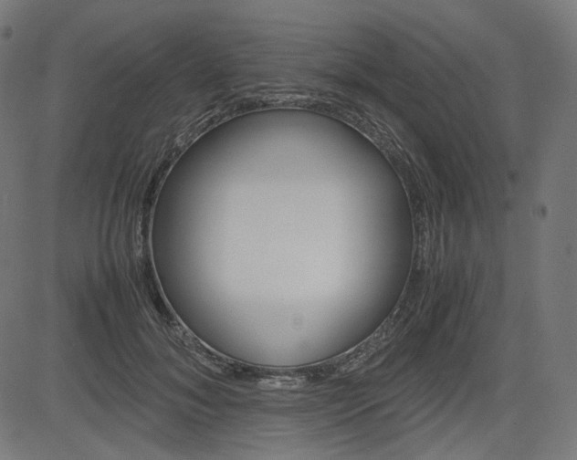 X0000085230700200703090857