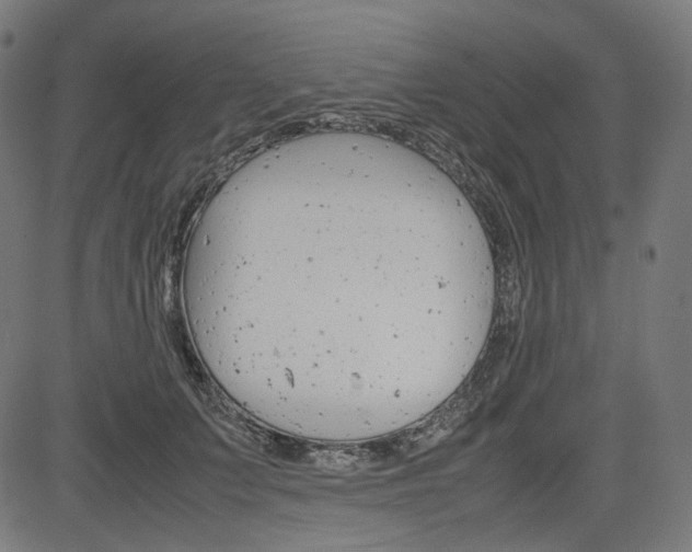 X0000085230703200703090857