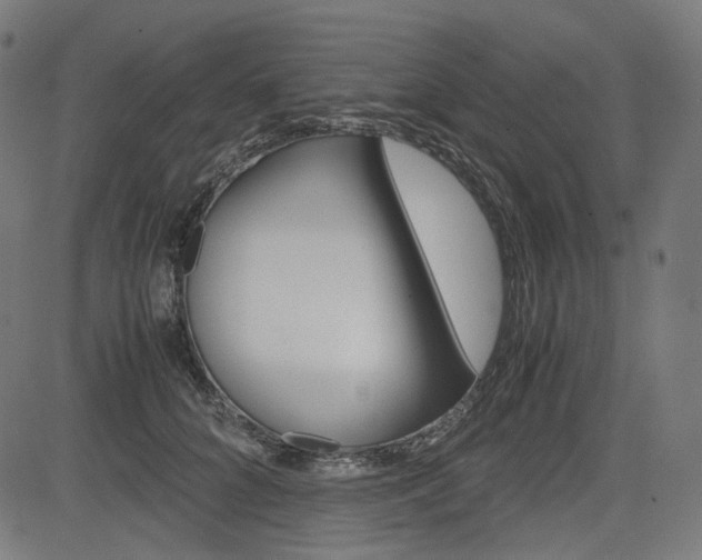 X0000085230704200703090857