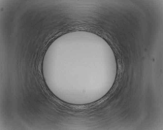 X0000085230705200703090857