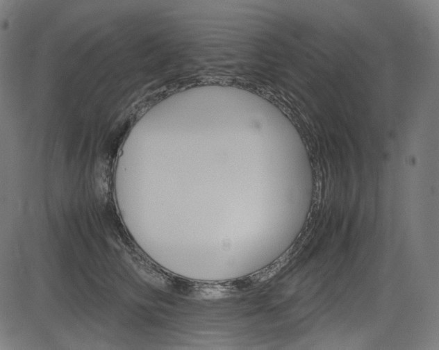 X0000085230710200703090857