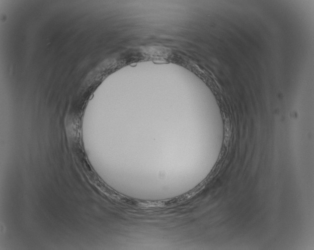 X0000085230713200703090857