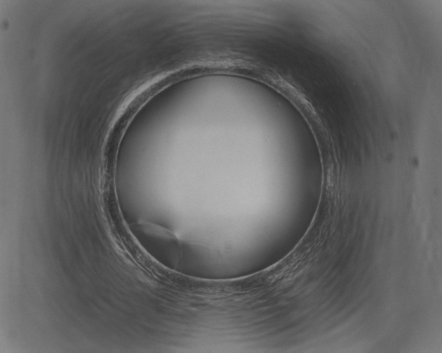 X0000085230724200703090856