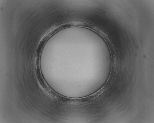 X0000085230730200703090856