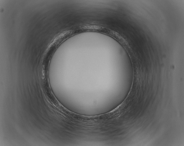 X0000085230731200703090856