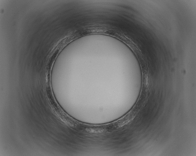 X0000085230733200703090856