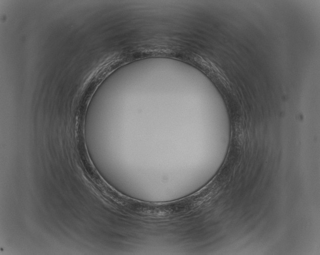 X0000085230735200703090856