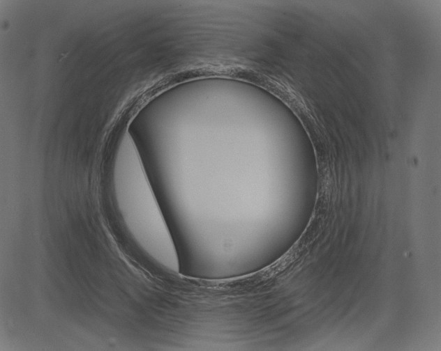 X0000085230736200703090856