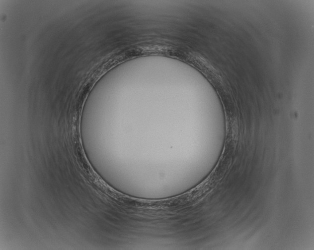 X0000085230737200703090856