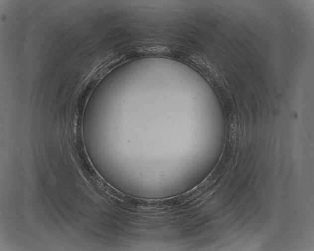 X0000085230739200703090856