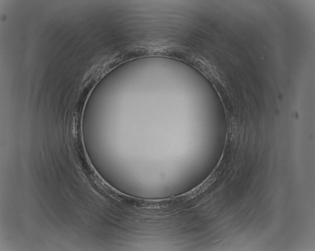 X0000085230740200703090856