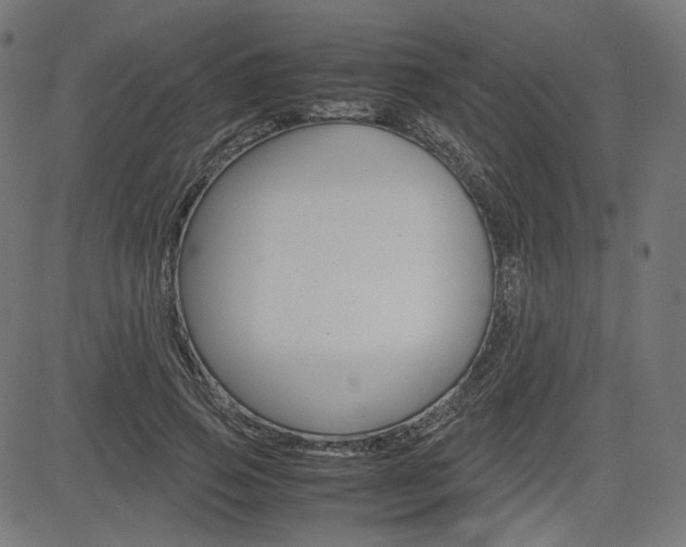 X0000085230741200703090856