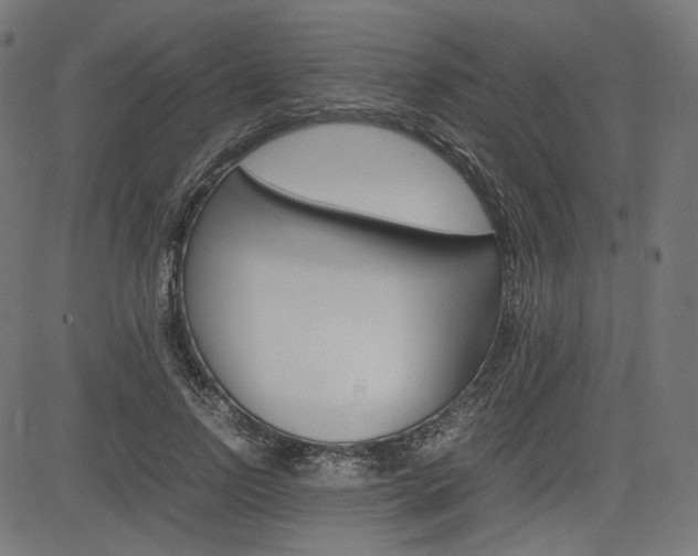 X0000085230742200703090856
