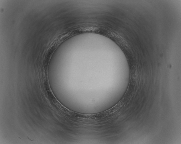 X0000085230743200703090856