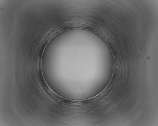 X0000085230744200703090856