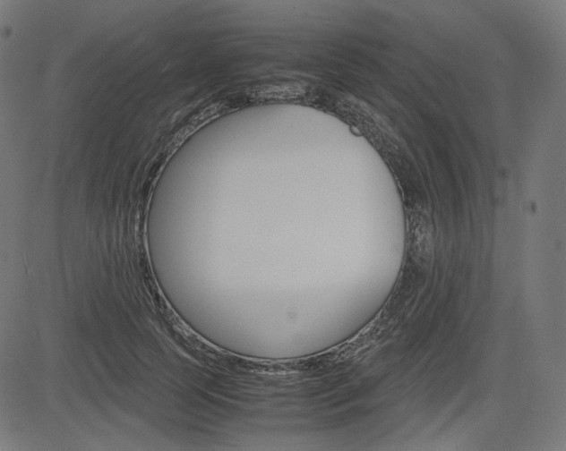 X0000085230745200703090856
