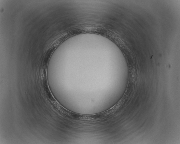 X0000085230746200703090856