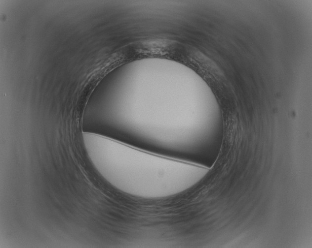 X0000085230747200703090856