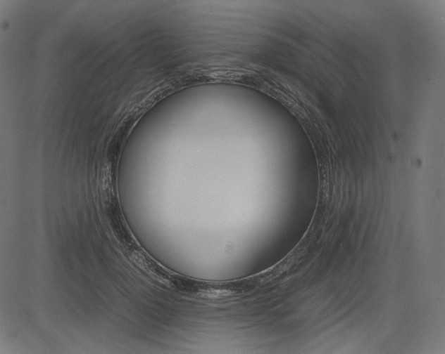 X0000085230748200703090856