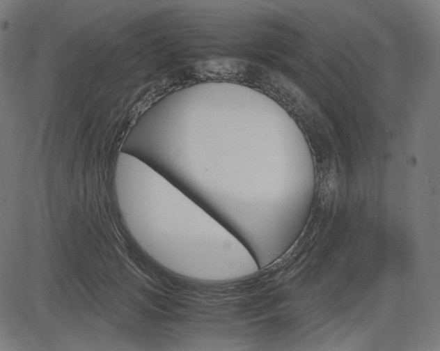 X0000085230749200703090856
